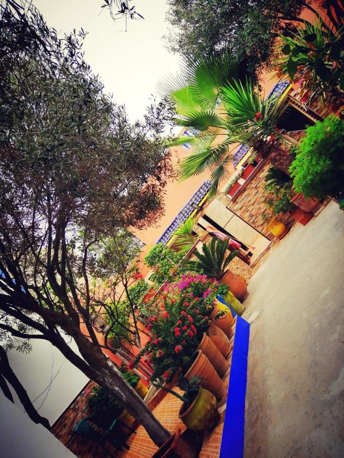 Dar Ezzitouna Oualidia Exterior foto