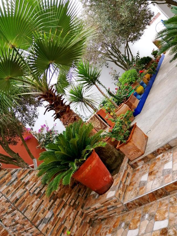 Dar Ezzitouna Oualidia Exterior foto